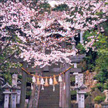 熊の神社市民の森